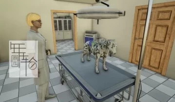 switch游戏《兽医 Animal Doctor》英文版NSP+XCI整合版下载【含1.02补丁】